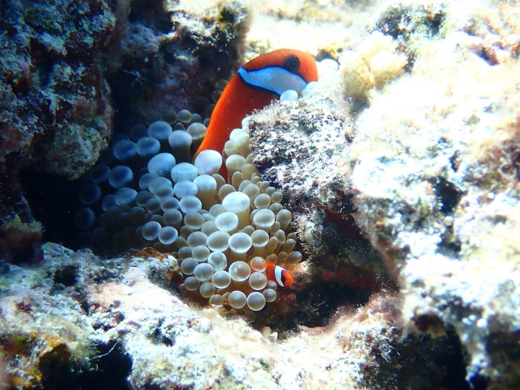 p9230086