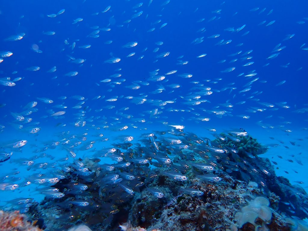 p9260101