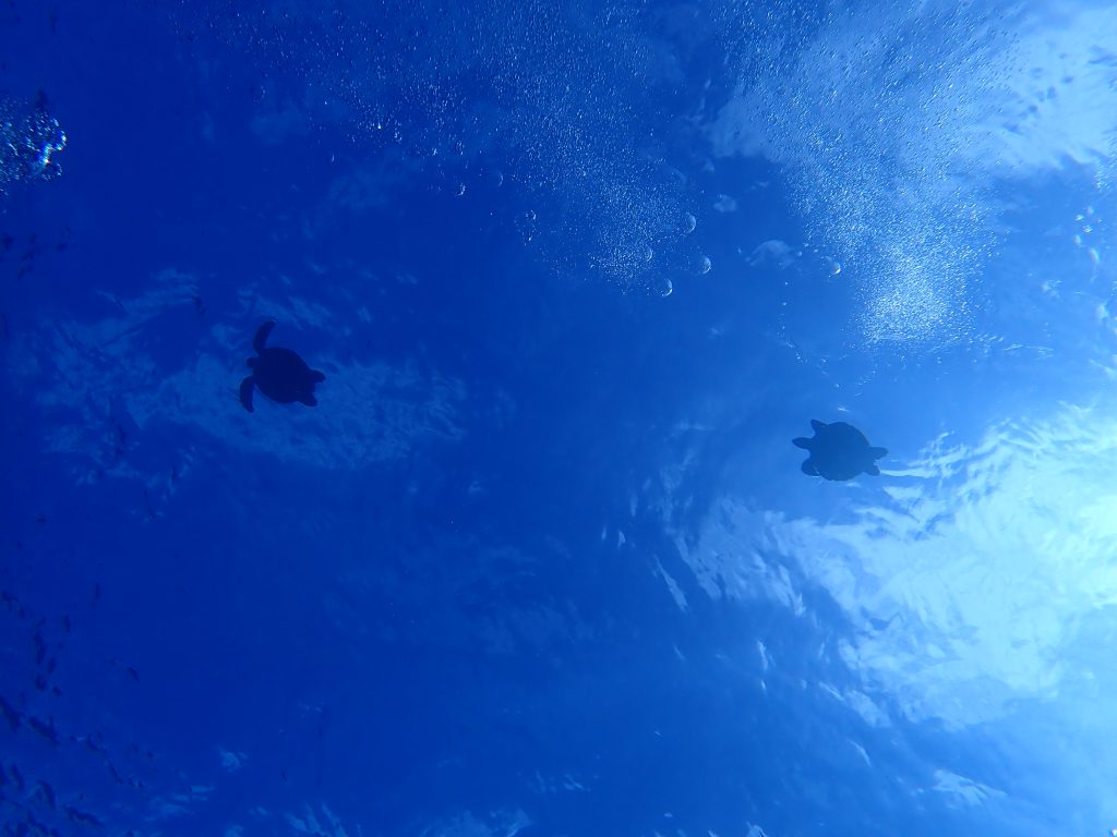 p9260110