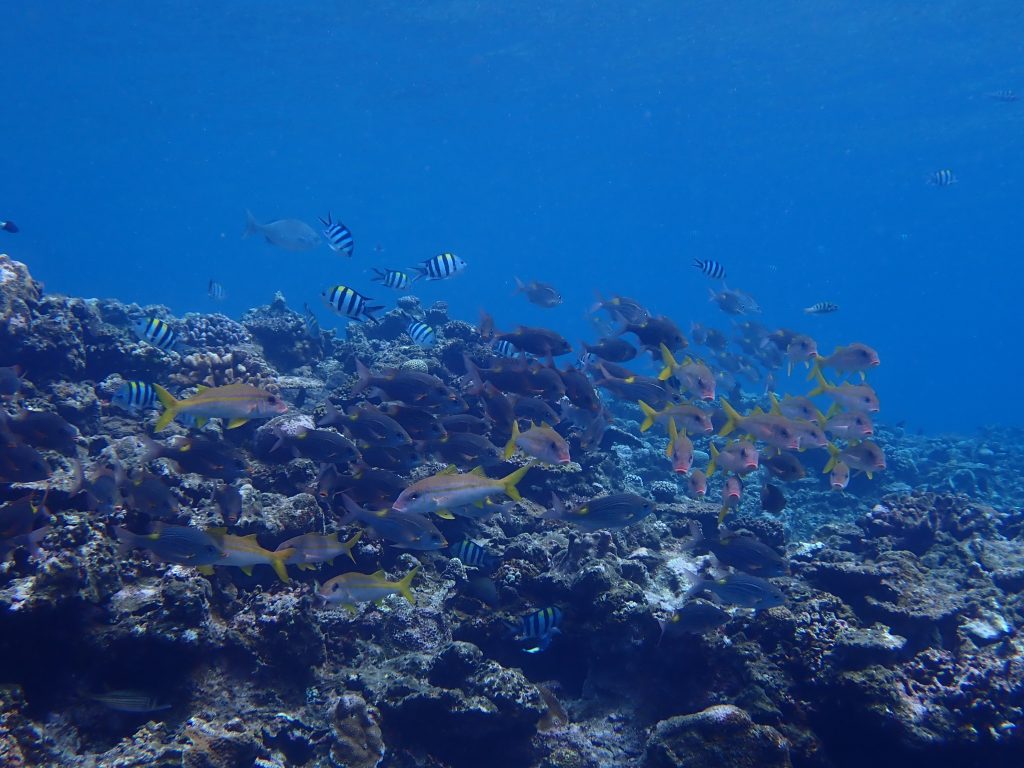 p9260145