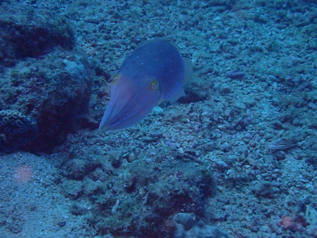 p9270833