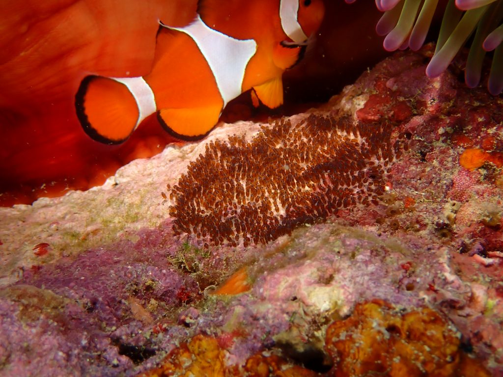 p9270860