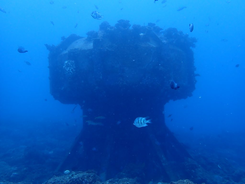 p9270880