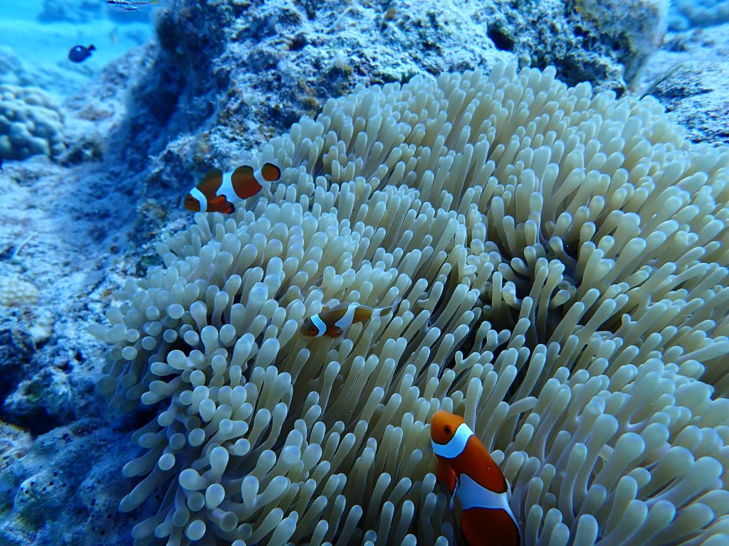 p9300014