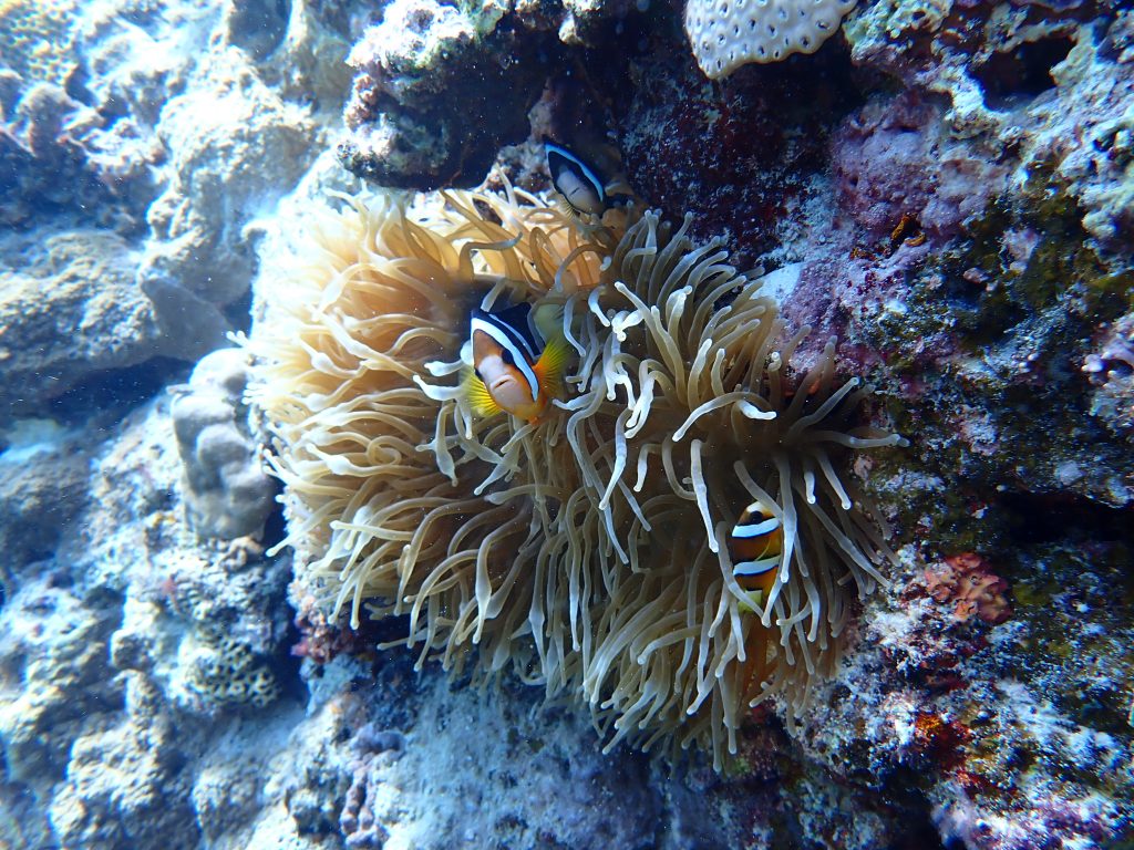 p9300073