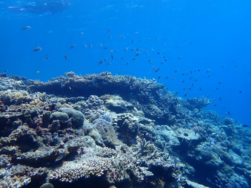p9300092