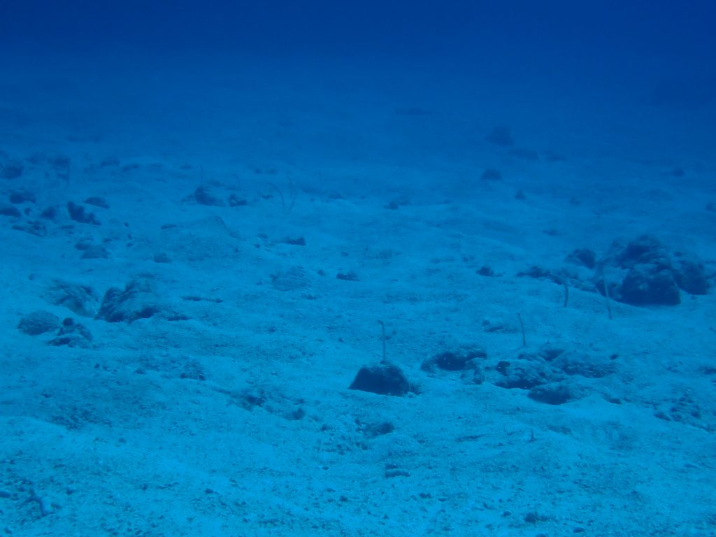 pa020094