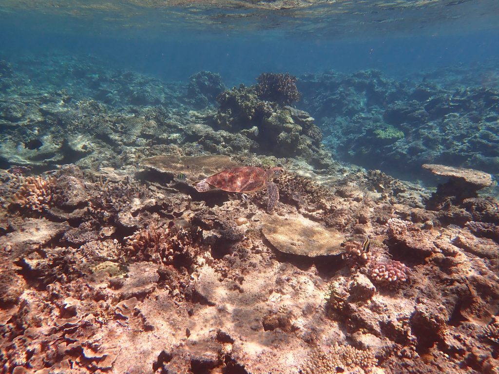 pa090085