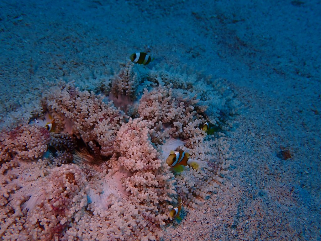 pa101258