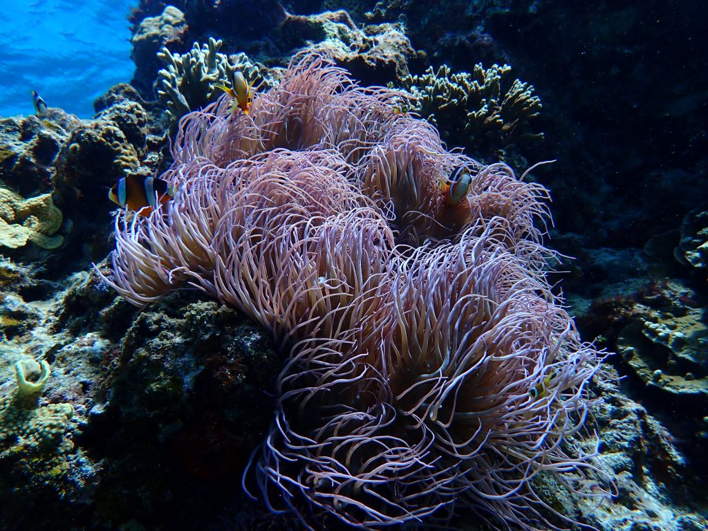 pa130053