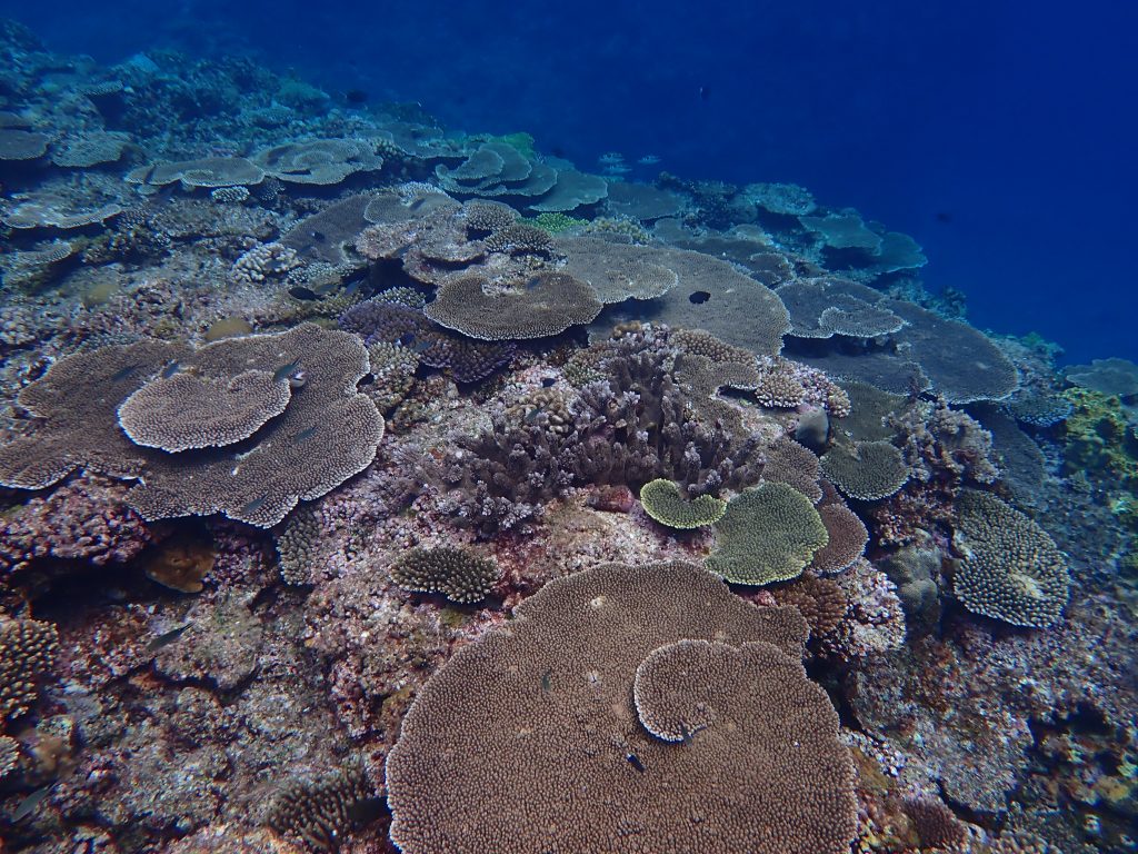 pa130081